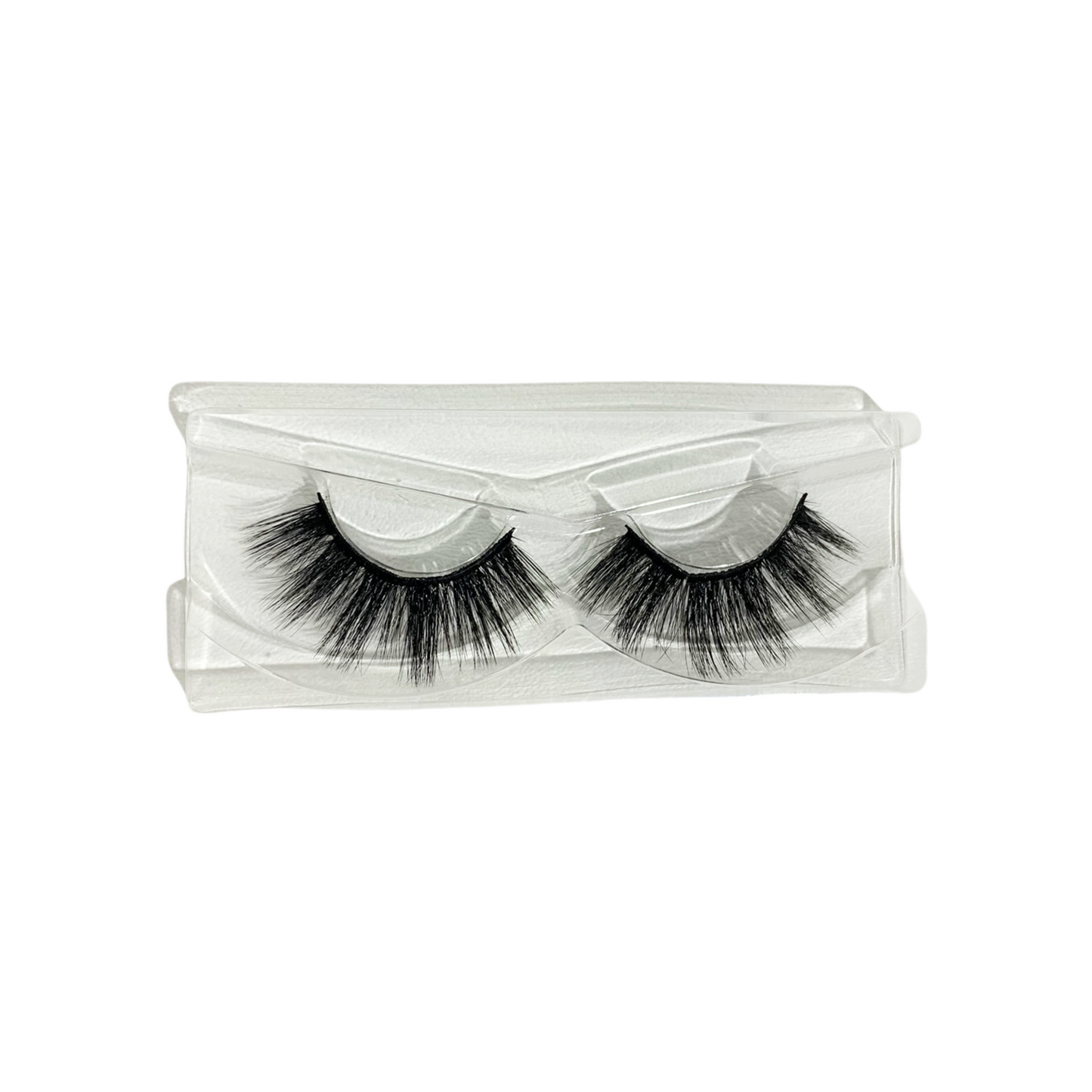 Sasha Lash