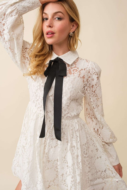 Whitney Lace Mini Dress