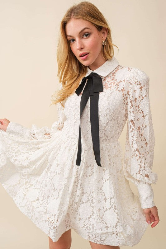 Whitney Lace Mini Dress